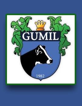 Gumil muzilice