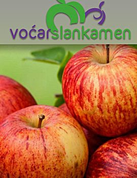 Voćar novi slankamen